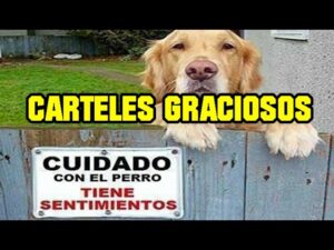 cartel-cuidado-con-el-perro-obligatorio-espana
